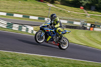 cadwell-no-limits-trackday;cadwell-park;cadwell-park-photographs;cadwell-trackday-photographs;enduro-digital-images;event-digital-images;eventdigitalimages;no-limits-trackdays;peter-wileman-photography;racing-digital-images;trackday-digital-images;trackday-photos